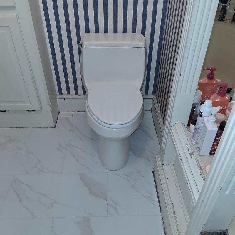 Toilet installation with new wax ring and flooring prep