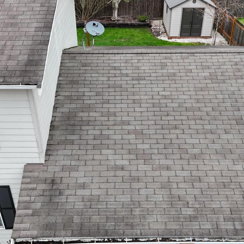 Asphalt shingle roof with minor discoloration and debris