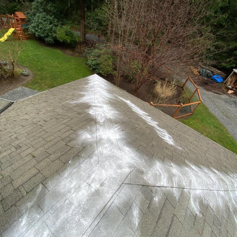 Roof moss treatment and cleaning on residential shingles