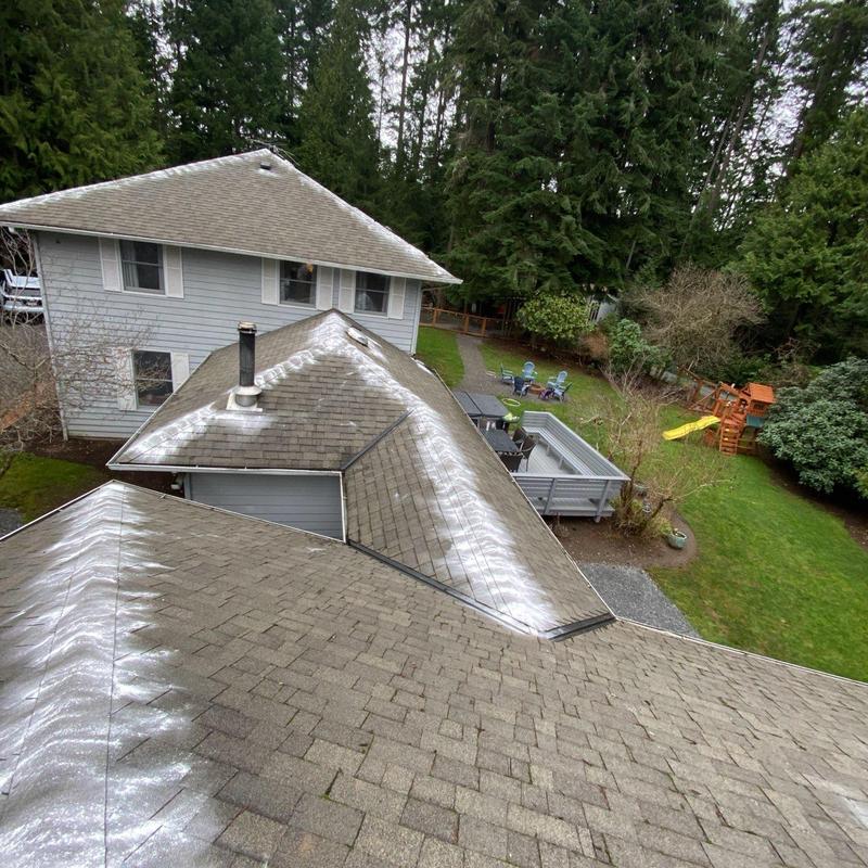 Roof shingles with moss buildup on residential home
