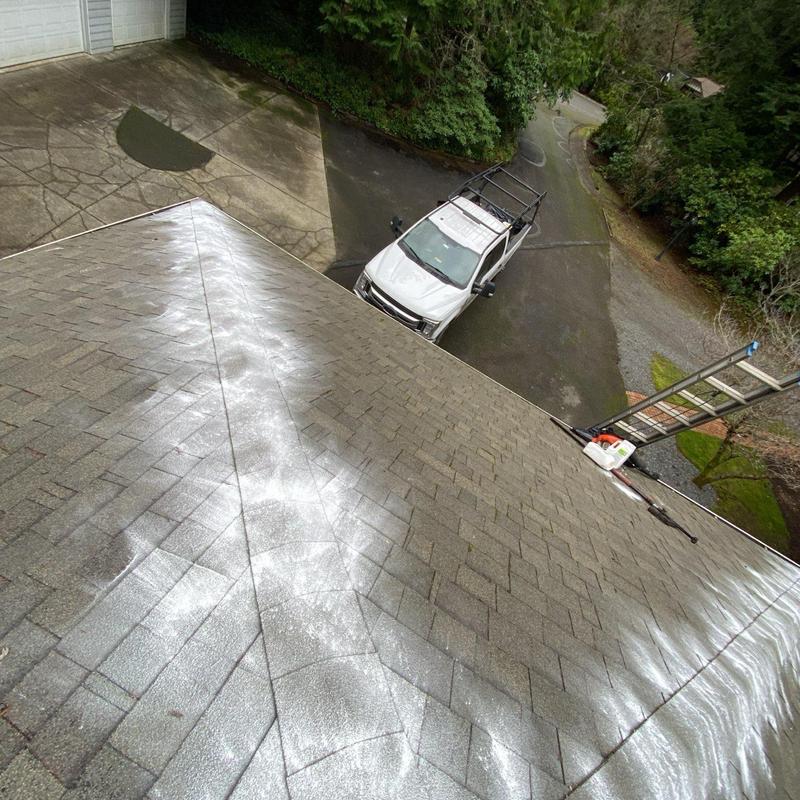 Roof shingles with moss treatment application and ladder setup