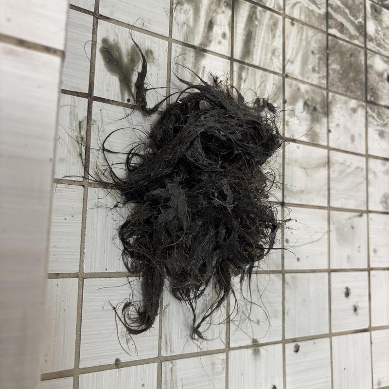 Shower drain clog of hair and debris on tiled floor