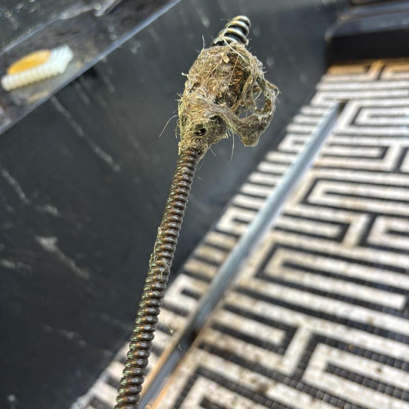 Shower drain snake with hair clog removed