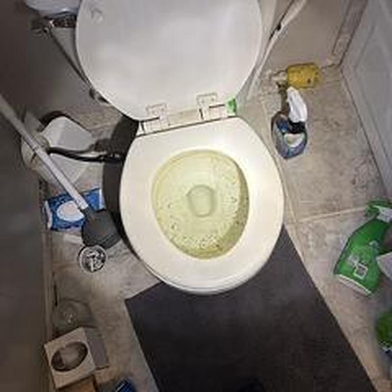Toilet bowl with cleaning supplies and plunger nearby