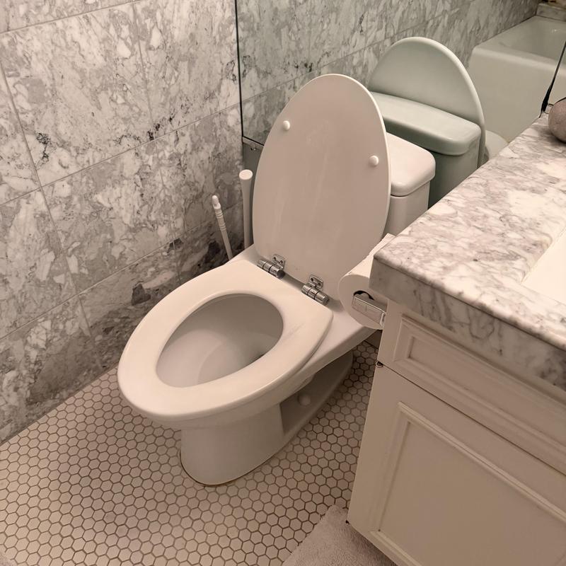 Toto one-piece toilet with new flapper installed