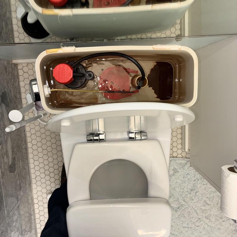 Toto toilet flapper replacement inside tank