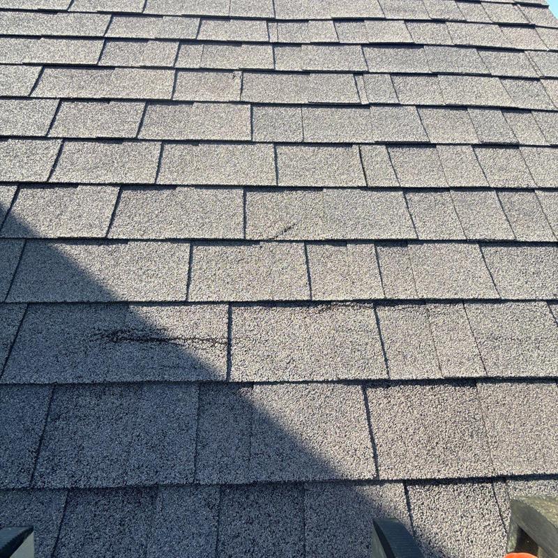 Asphalt shingle roof with hail damage and granule loss