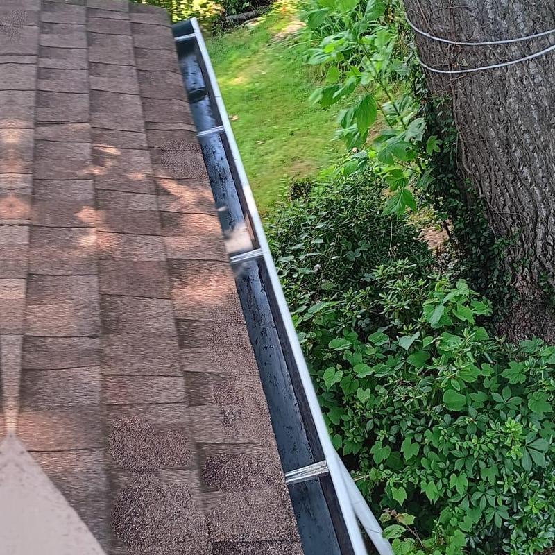 Shingle roof with attached metal gutter and greenery nearby
