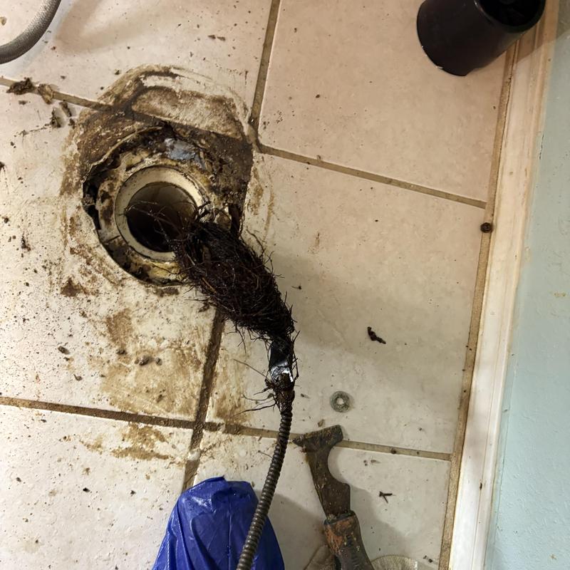 Toilet drain clog removal with auger and hair debris
