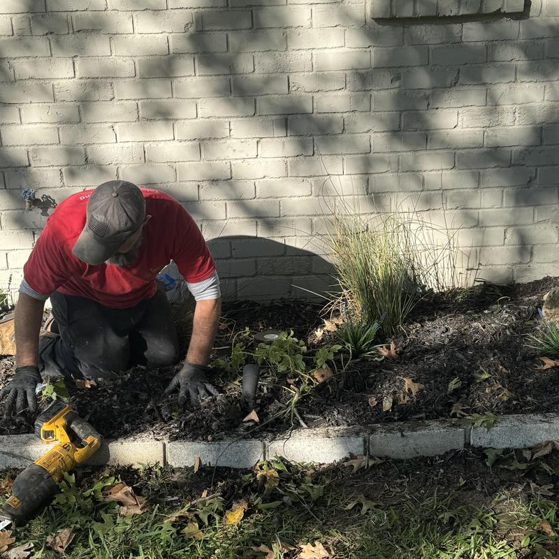 Sewer line access and repair near garden bed