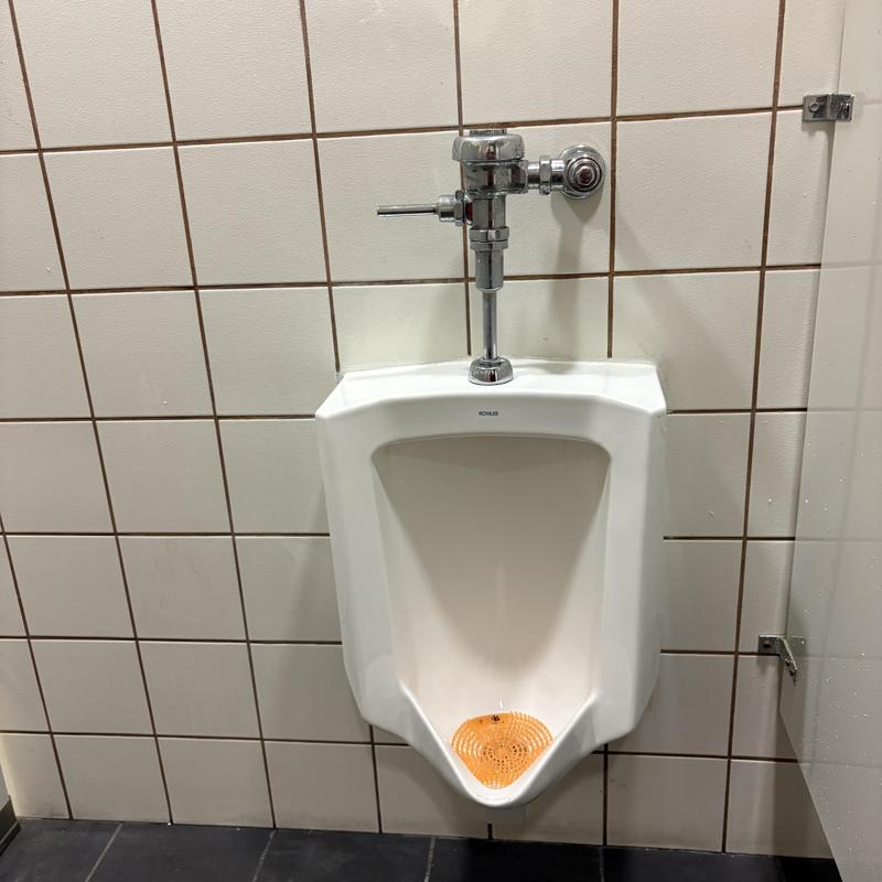 Urinal flush valve and drain cleaning maintenance