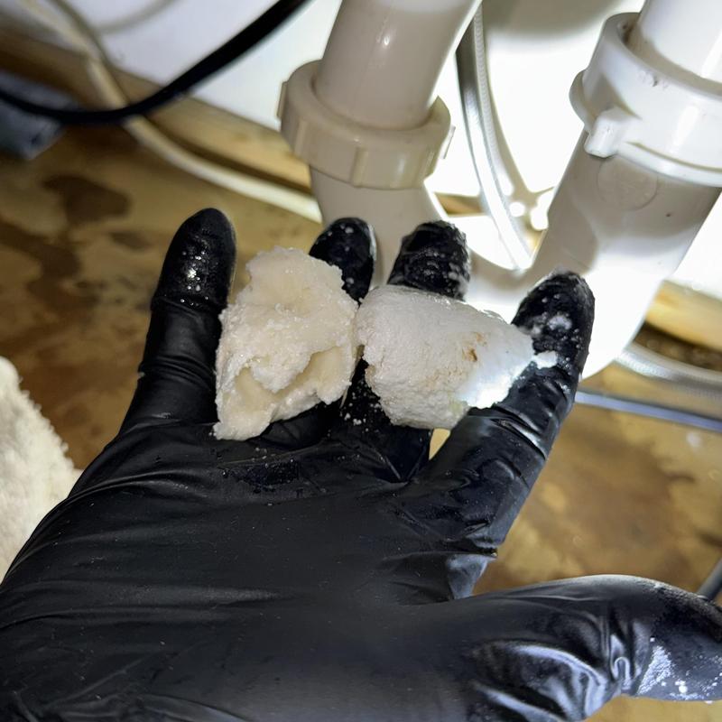 Kitchen drain clog debris removal under sink