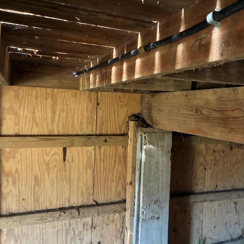 Gas line installation along wooden ceiling joists