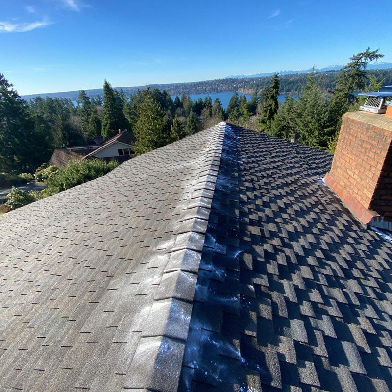 Asphalt shingle roof cleaning and moss treatment in Mercer Island
