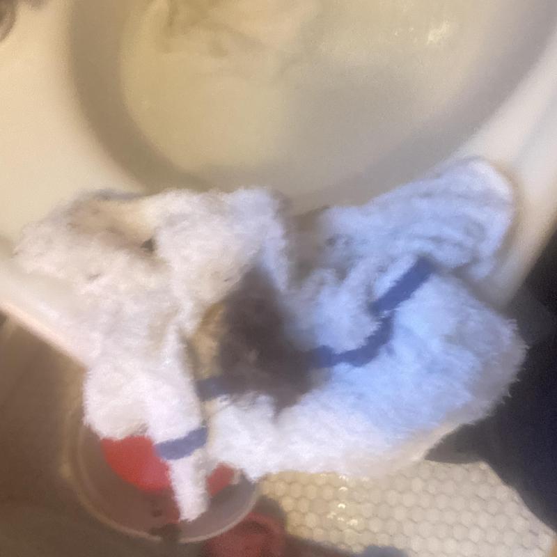 Basin sink drain clog with removed hair debris