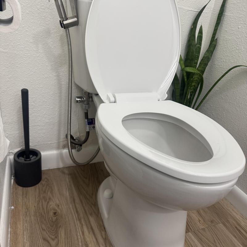 Toilet installation with handheld bidet and brush nearby
