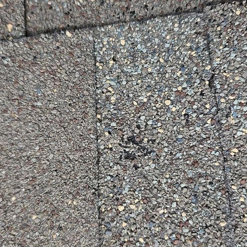 Roof shingles with sealed low nails and flashing Roof shingles with sealed low nails and flashing