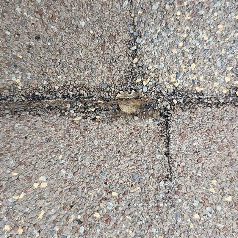 Roof granules and nail hole flashing sealant detail Roof granules and nail hole flashing sealant detail