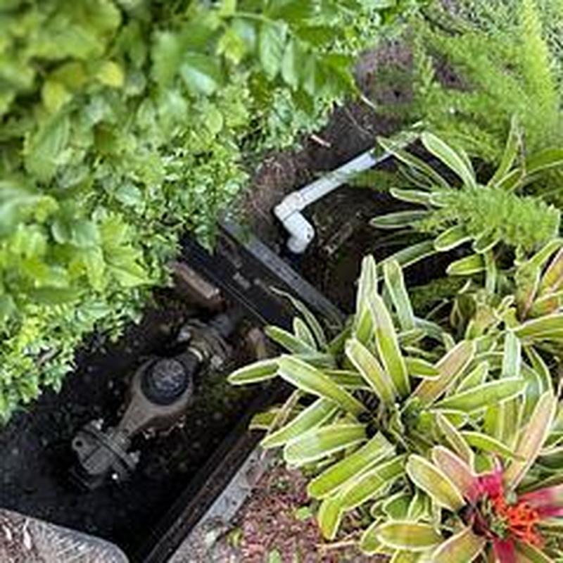 Backflow assembly with ball valve in garden bed