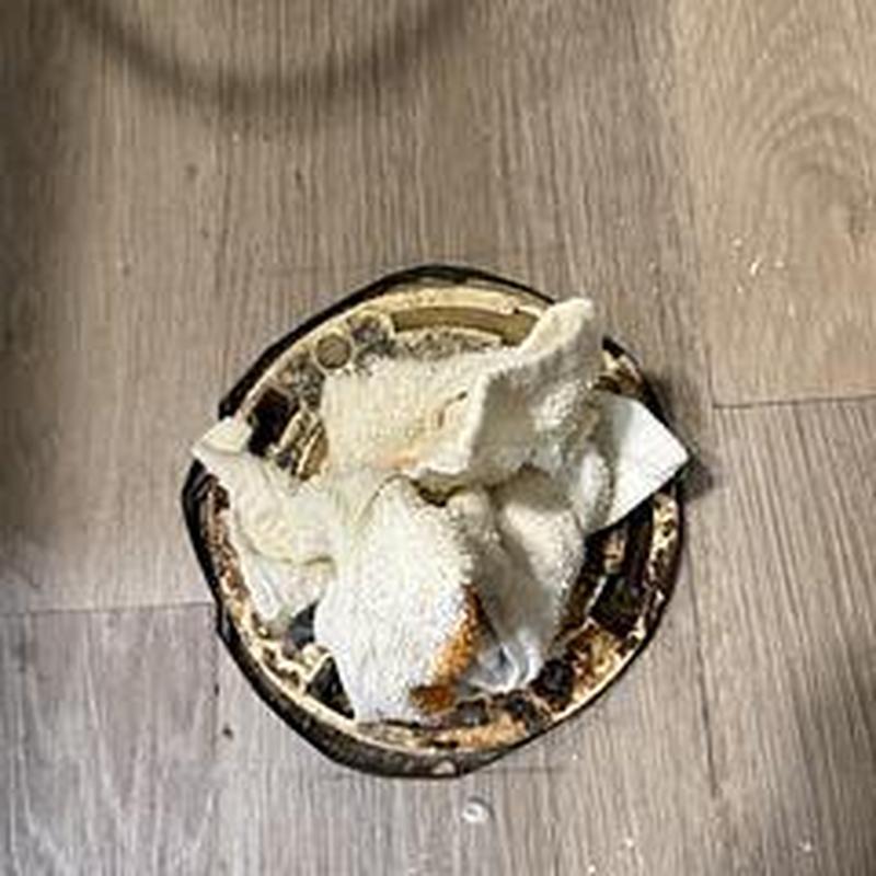 Toilet flange with temporary cloth seal on wooden floor