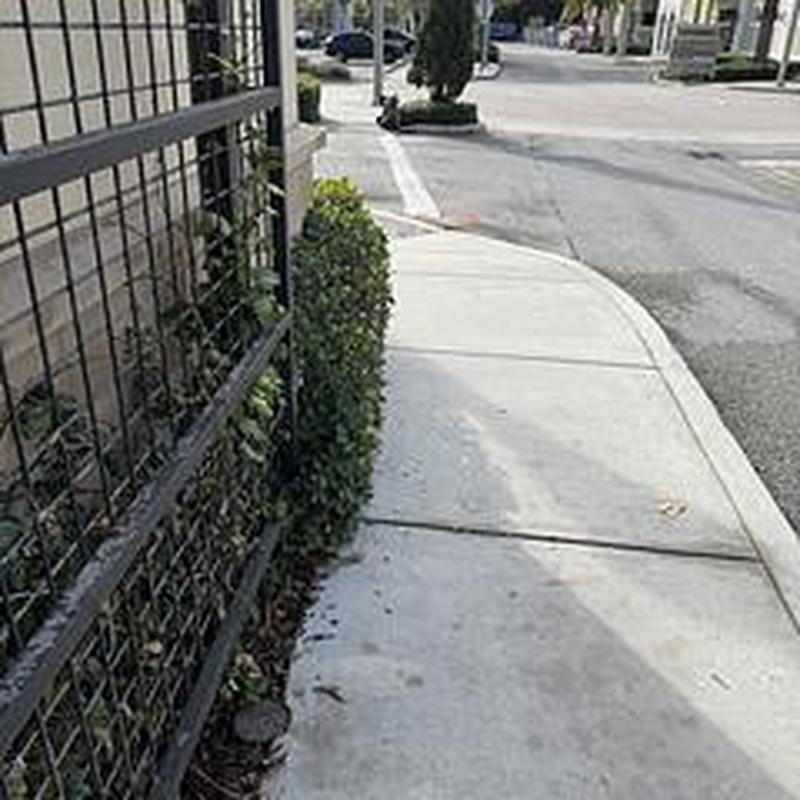 PVC sewer line with tree root obstruction outside building