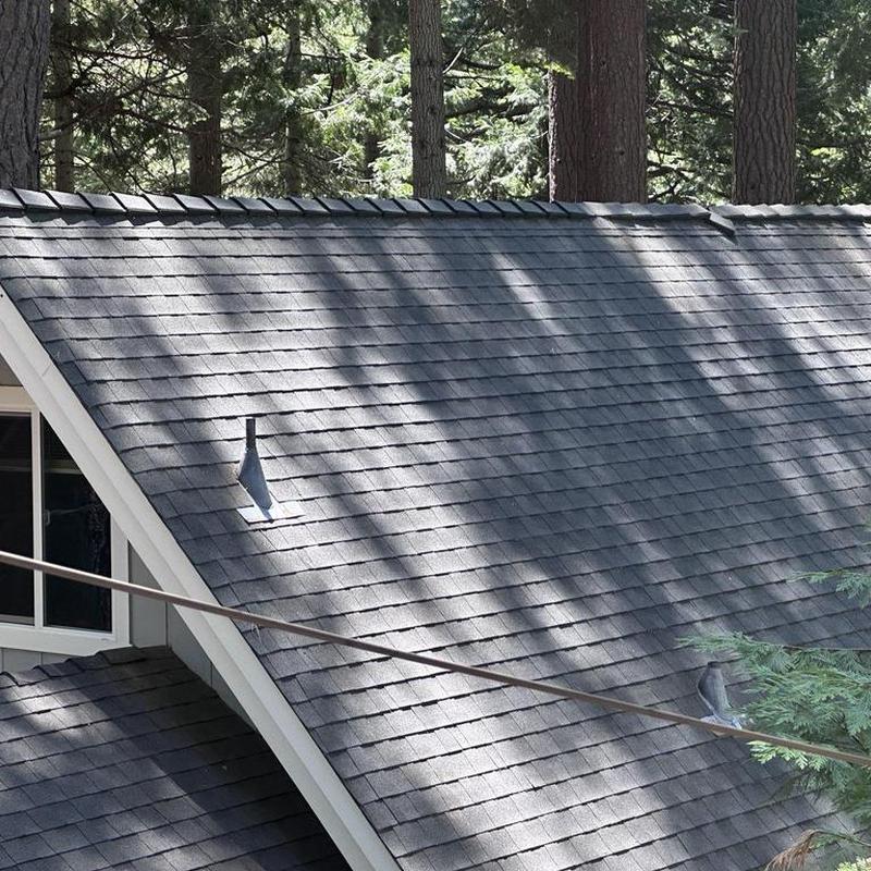 Asphalt shingle roof ridge with tree shade in Long Barn