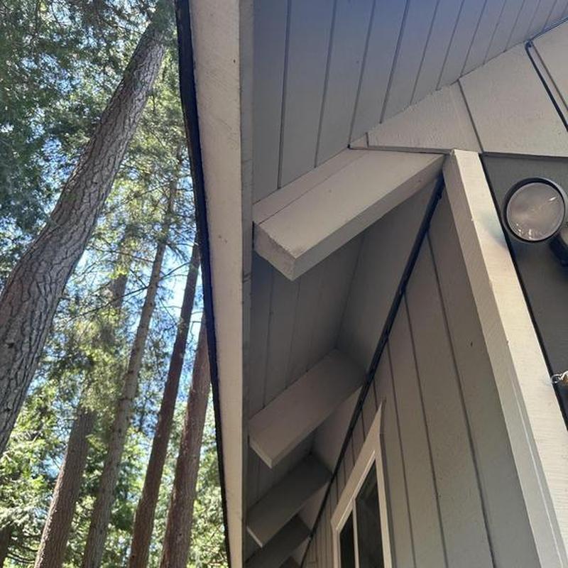 Roof ridge and fascia boards under tree canopy in Long Barn CA