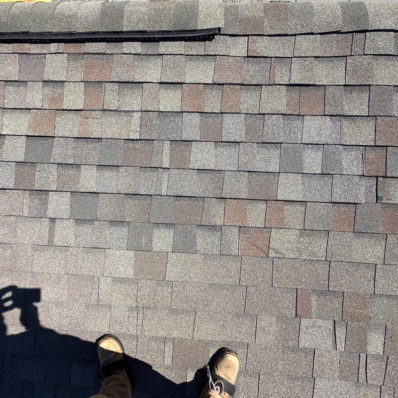 Asphalt shingle roof inspection with hail damage visible