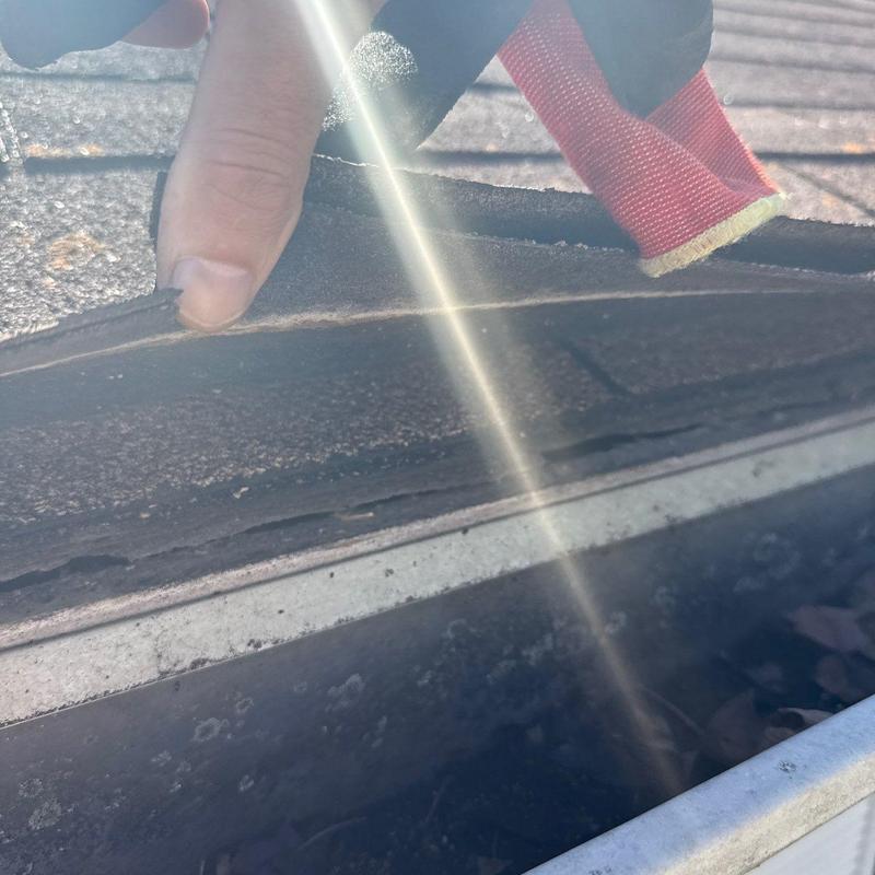 Asphalt roof shingle lifting inspection near gutter edge