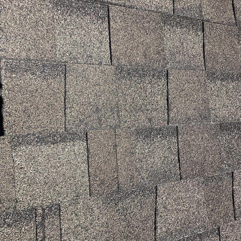 Asphalt roof shingles with hail damage and granule loss