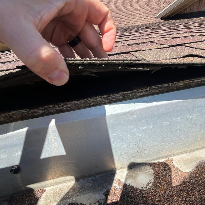 Asphalt shingles lifted to inspect hail damage