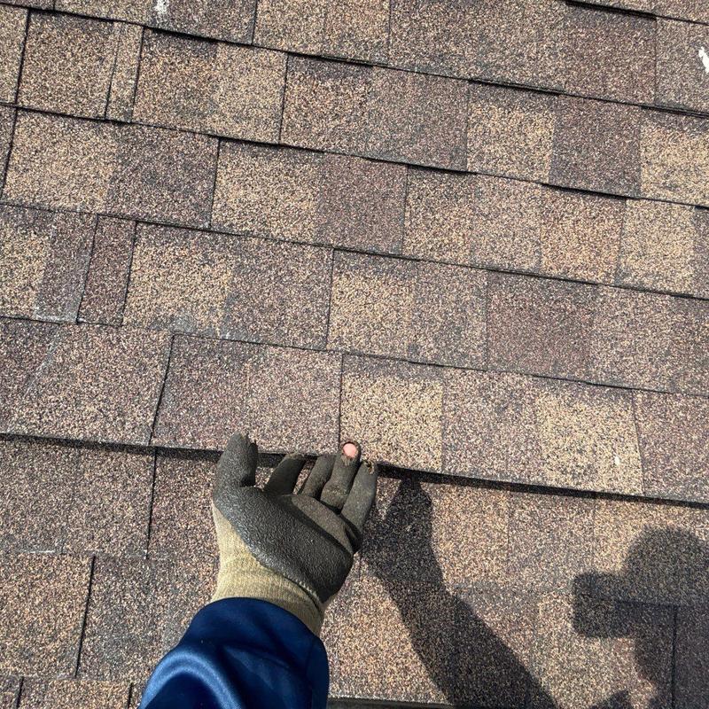 Asphalt shingles with hail damage being inspected