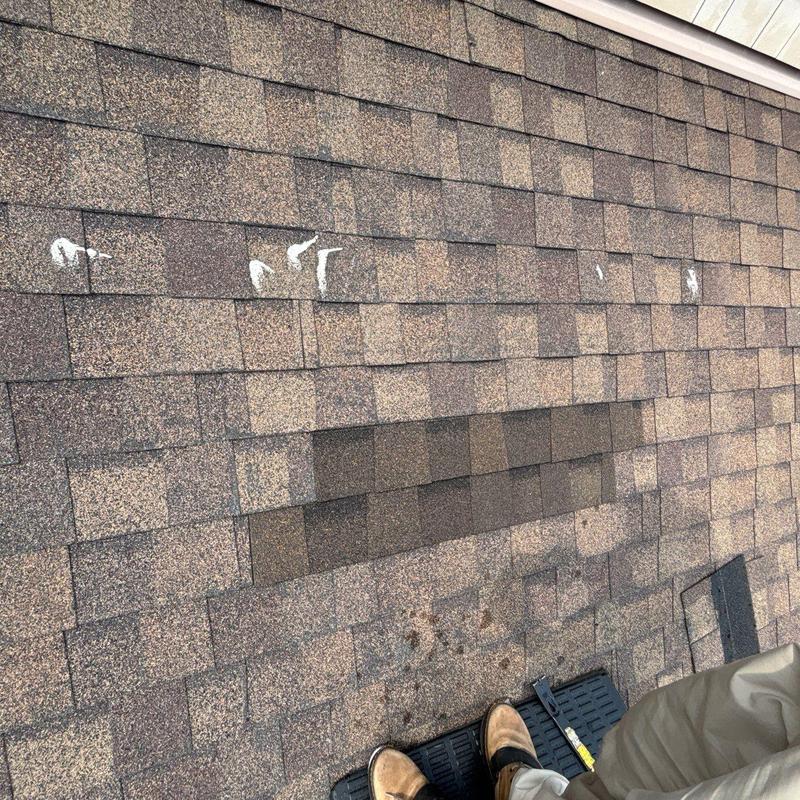 Asphalt roof shingles showing hail damage and wear