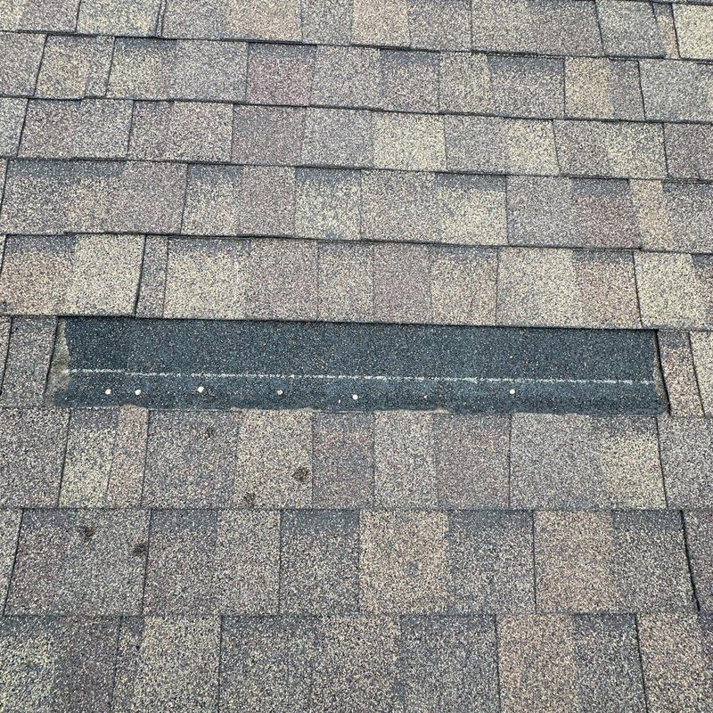 Roof shingle with exposed underlayment and nail line