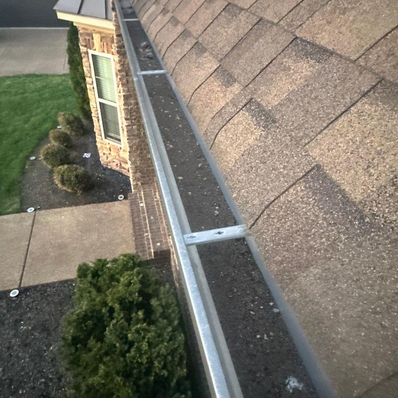 Roof gutter with debris buildup beside asphalt shingle roof