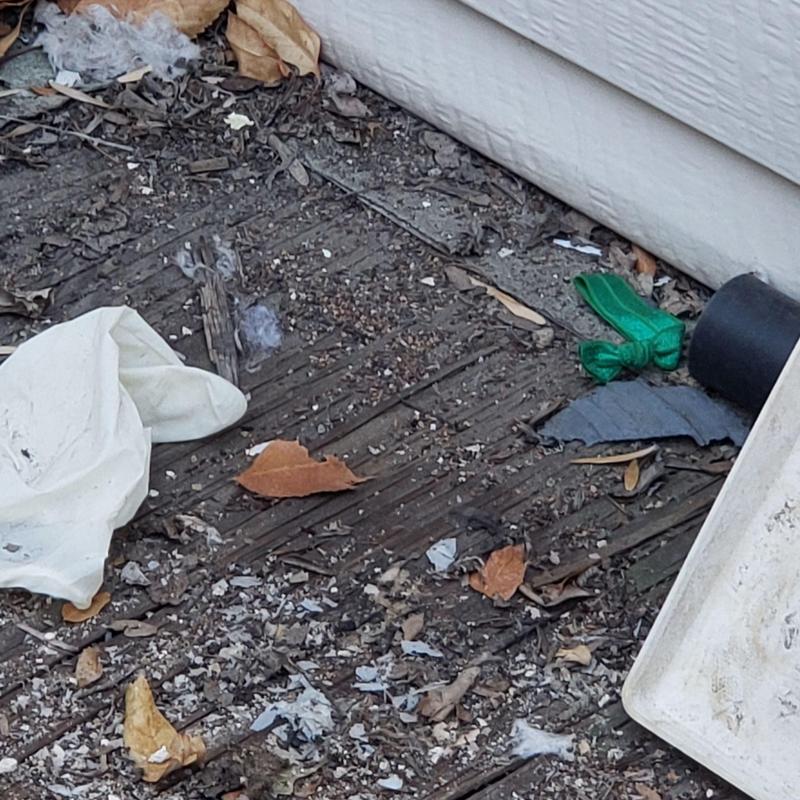 Flat roof patio decking with debris and deterioration Flat roof patio decking with debris and deterioration