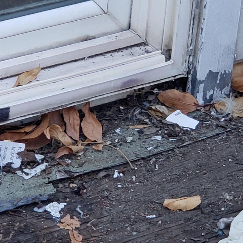 Flat roof patio decking with severe water damage Flat roof patio decking with severe water damage