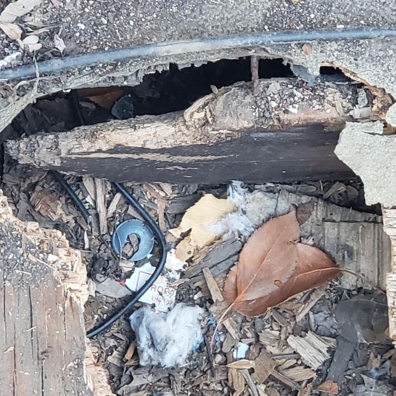 Flat roof decking severe deterioration and leak damage Flat roof decking severe deterioration and leak damage