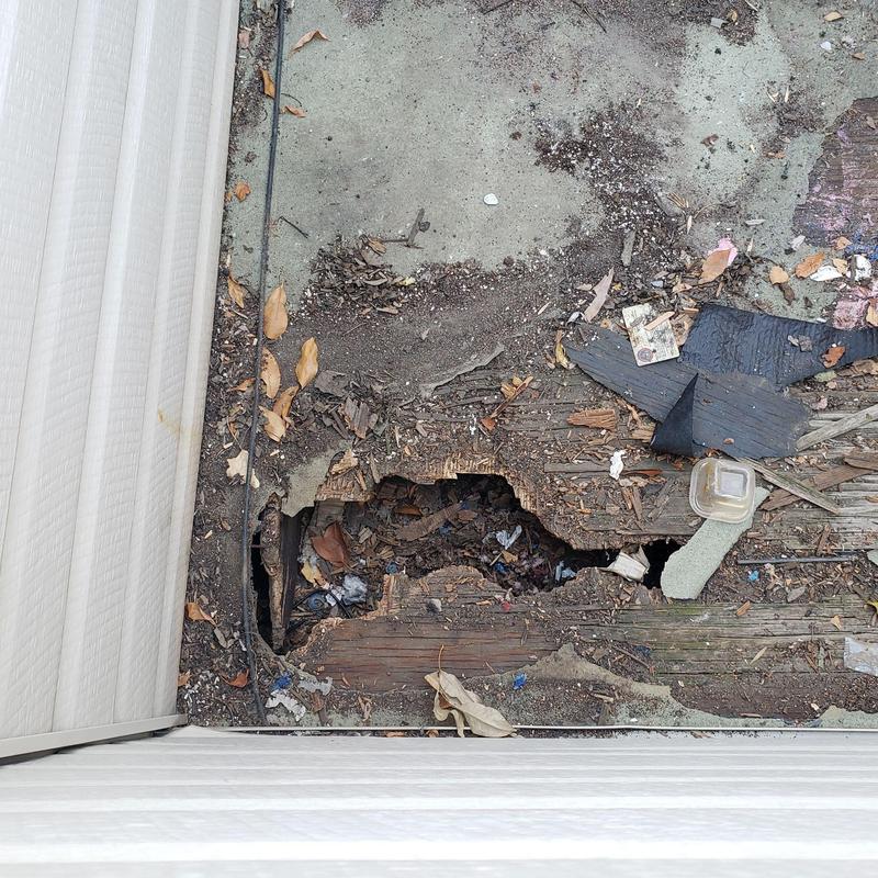 Flat roof patio decking with severe water damage Flat roof patio decking with severe water damage