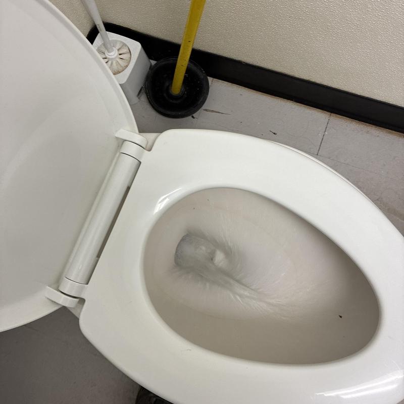 Women’s toilet flushing after auger debris removal