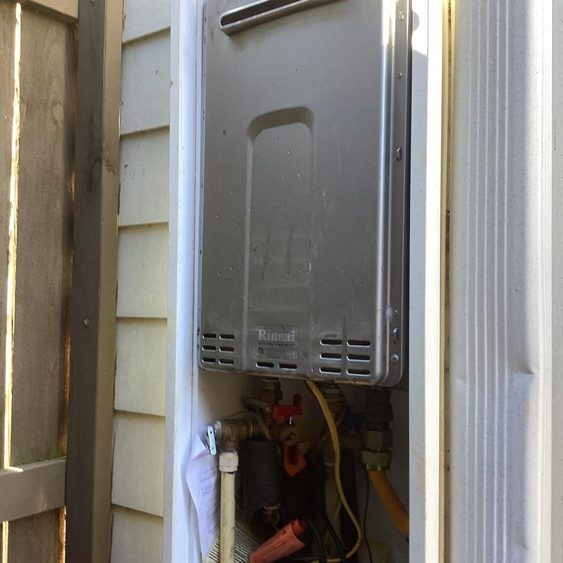 Tankless water heater maintenance with system flush