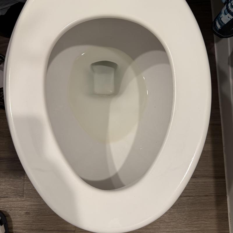 Toilet bowl after sewer snake clearing in Mabank, TX