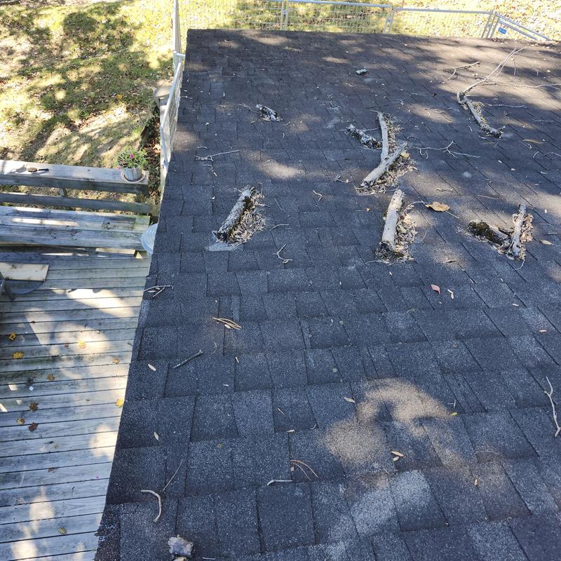 Asphalt shingle roof with visible tree branch damage