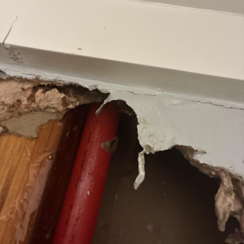 PEX piping with staple puncture and drywall damage
