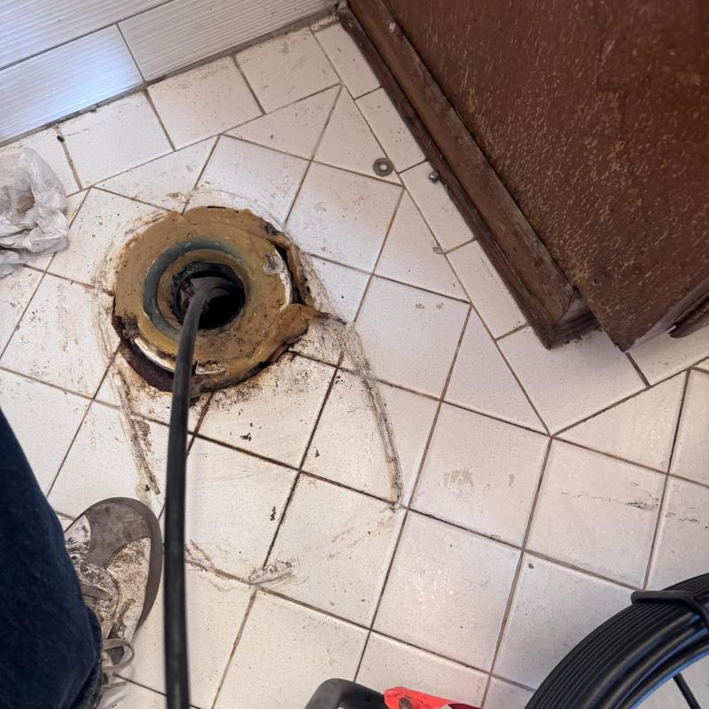 Toilet flange with drain snake in clogged line