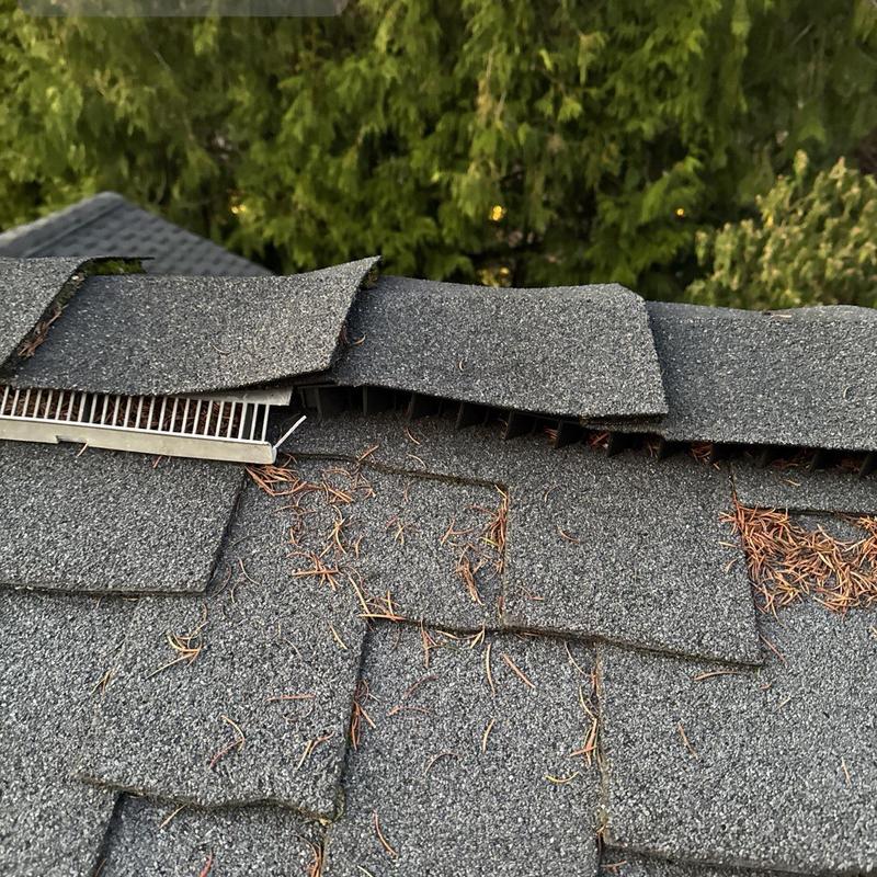 Roof shingles with lifted edges and debris buildup