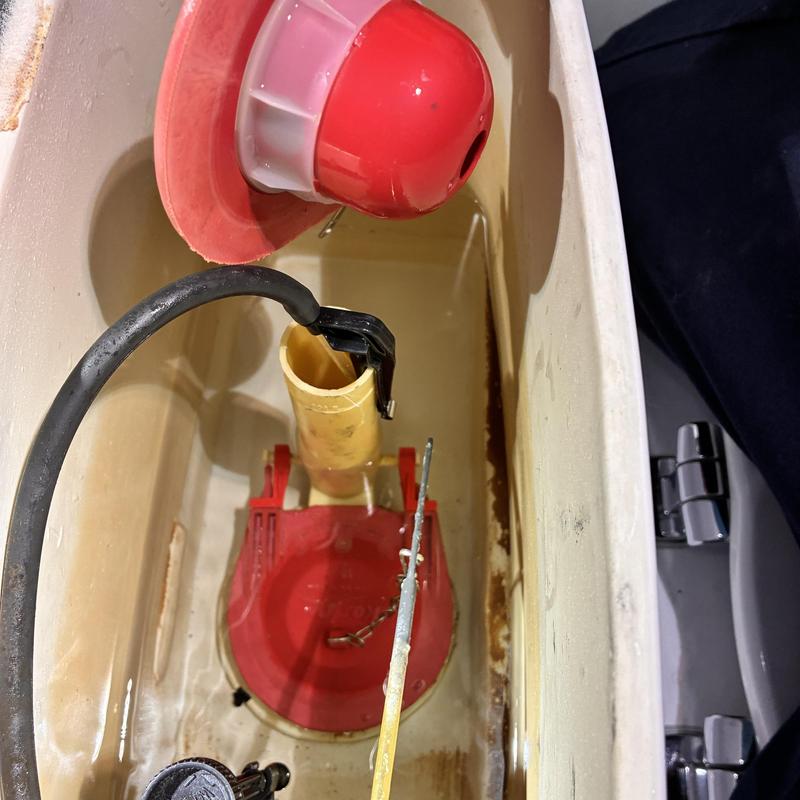 Toilet flush valve and chain adjustment interior