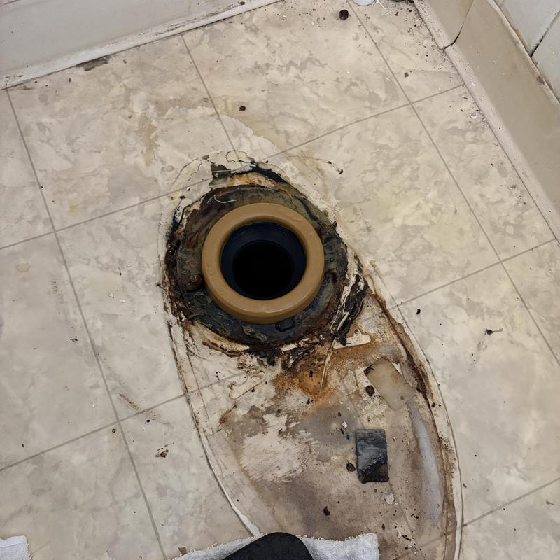 Toilet flange and wax ring removed on damaged floor