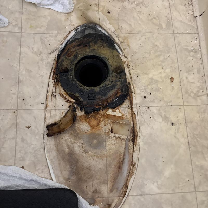 Toilet flange and wax ring leak site on tiled floor