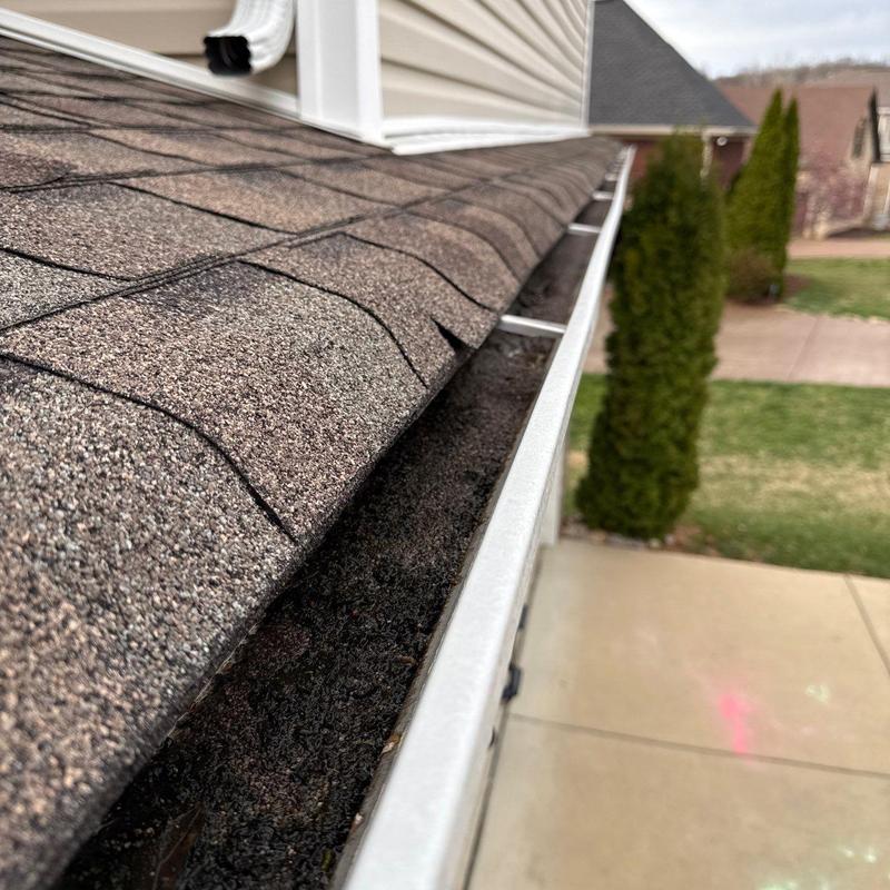 Asphalt shingle roof with clogged gutter buildup